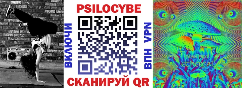 Псилоцибиновые грибы Cubensis  Купить где  Старица 